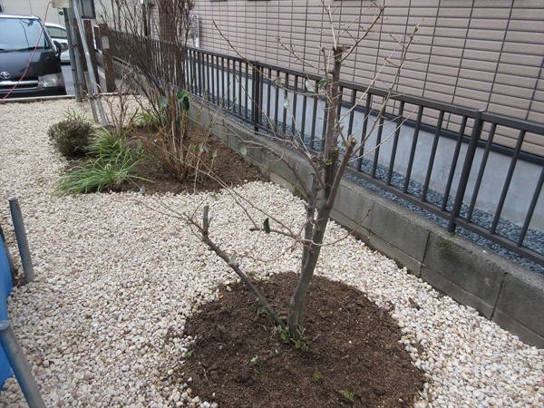 リノベーション「生まれ変わる栗東の家」〜仕上げまで