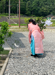 自然と暮らすのびやかな平屋